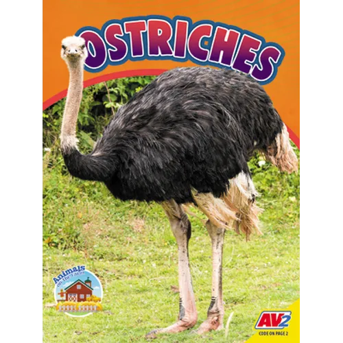 Ostriches