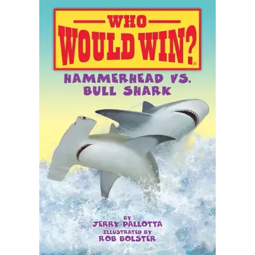 Hammerhead vs. Bull Shark