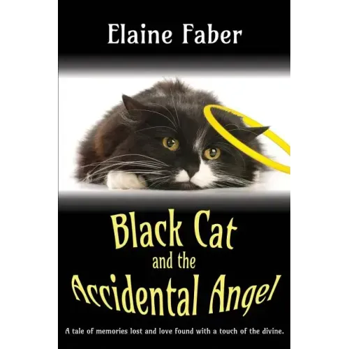 Black Cat and the Accidental Angel