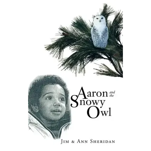 Aaron and the Snowy Owl