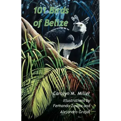 101 Birds of Belize