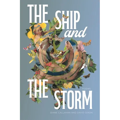The Ship and the Storm
