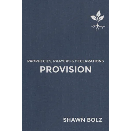 Provision: Prophecies, Prayers & Declarations Volume 2