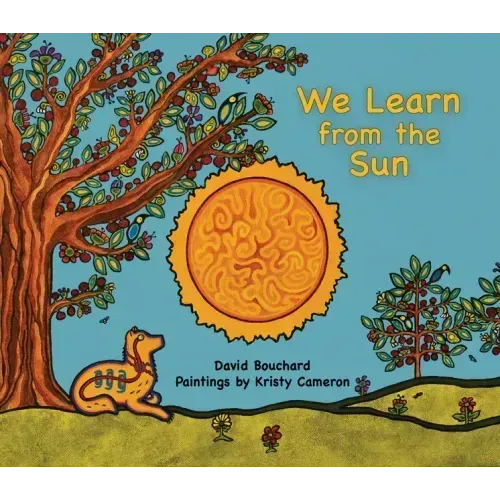 We Learn from the Sun