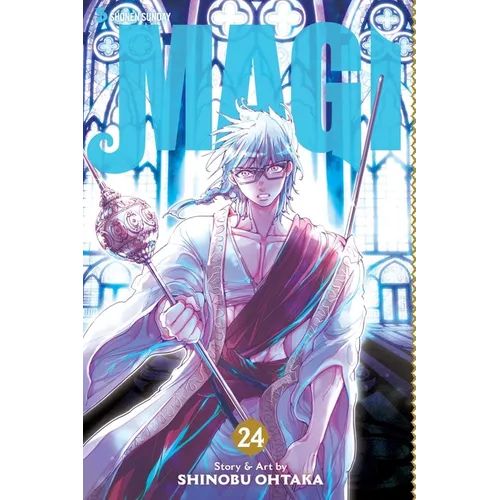 Magi: The Labyrinth of Magic, Vol. 24