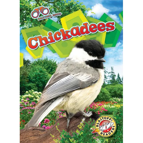 Chickadees