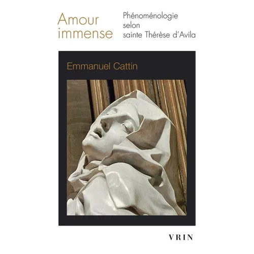 Amour Immense: Phenomenologie Selon Sainte Therese d'Avila