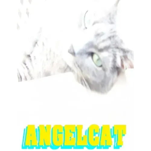 Angel Cat: Anime Manga Comic Book Ghost Soul Angel Heaven War Battle Good vs Evil Teenager Cat