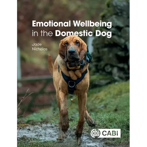 Emotional Wellbeing in the Domestic Dog