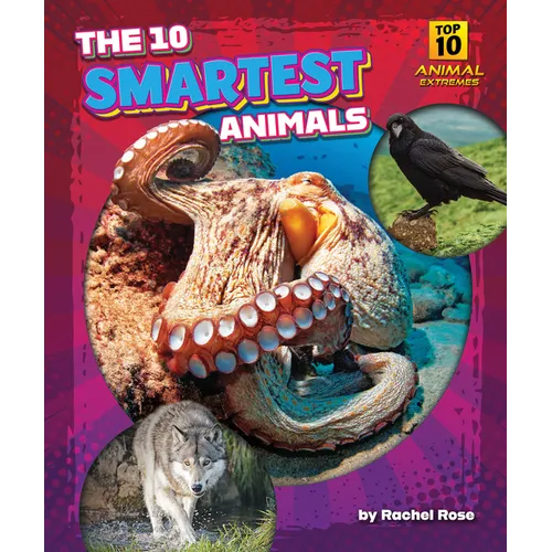 The 10 Smartest Animals