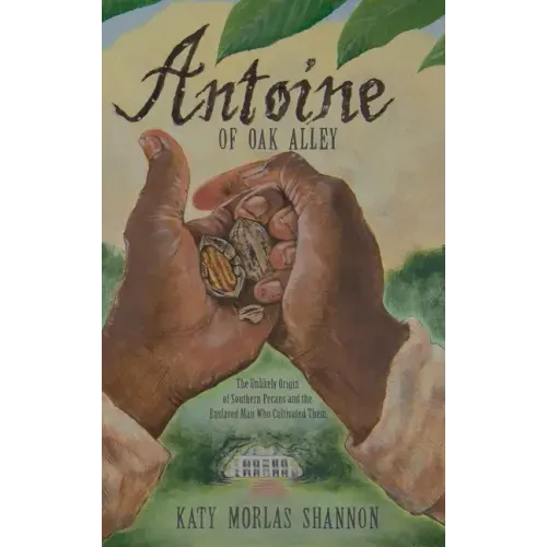 Antoine of Oak Alley: The Unlikely Origin of Southern Pecans and the Enslaved Man Who Cultivated Them