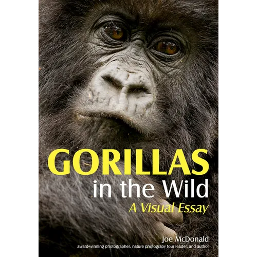 Gorillas in the Wild: A Visual Essay