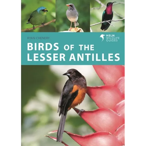 Birds of the Lesser Antilles