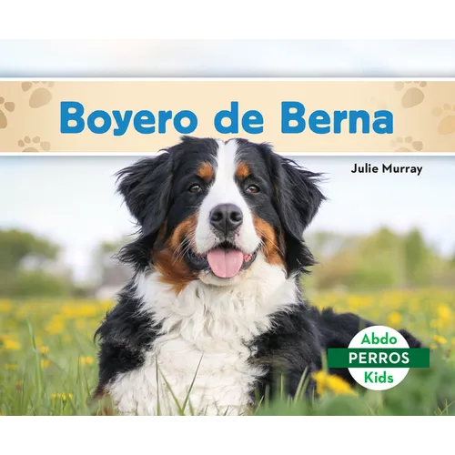 Boyero de Berna (Bernese Mountain Dogs)