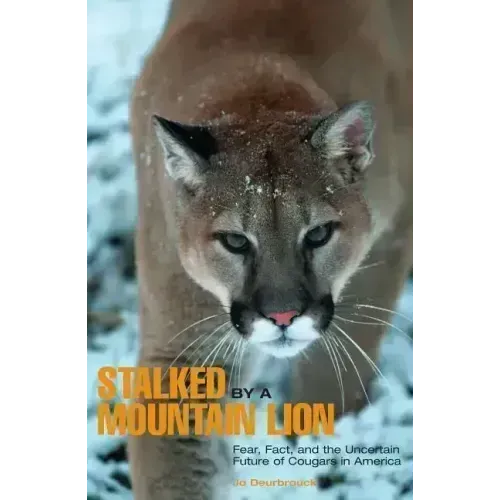 Stalked by a Mountain Lion: Fear, Fact, And The Uncertain Future Of Cougars In America