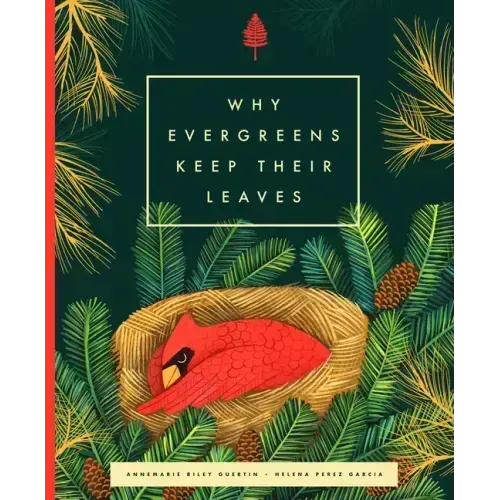 Why Evergreens Keep Their Leaves