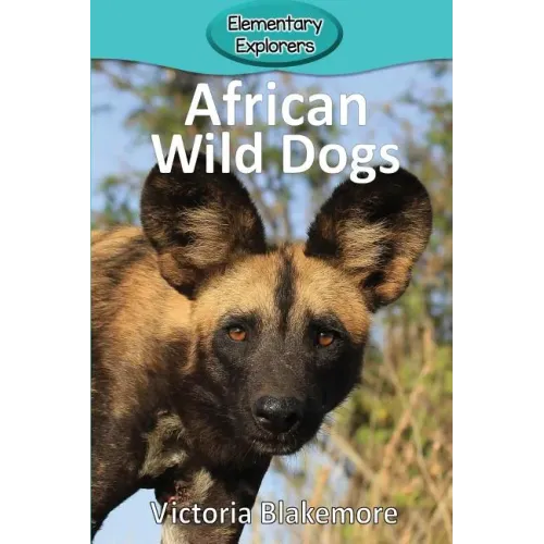 African Wild Dogs