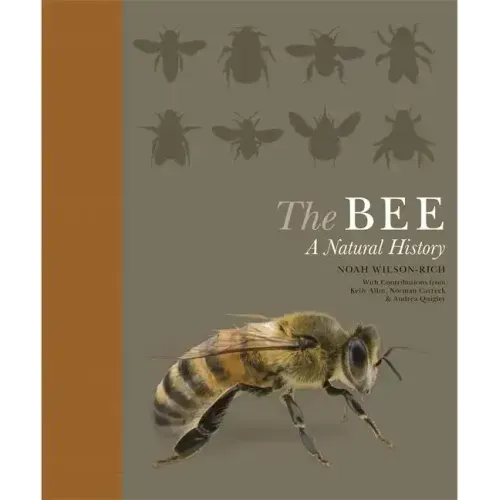 The Bee: A Natural History