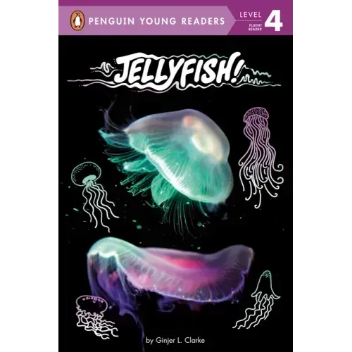 Jellyfish!