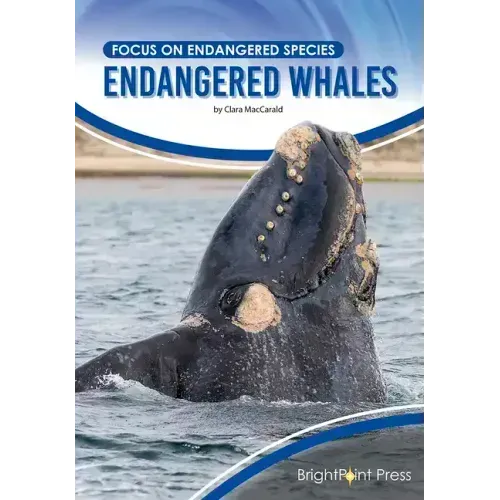 Endangered Whales