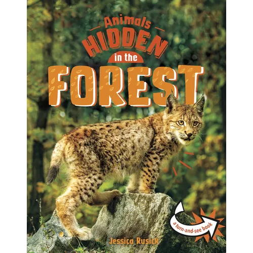 Animals Hidden in the Forest