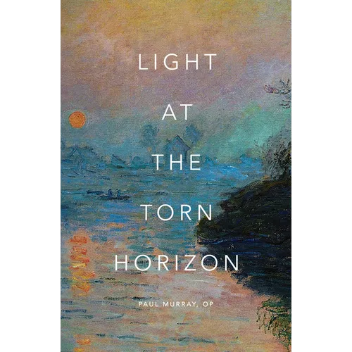 Light at the Torn Horizon