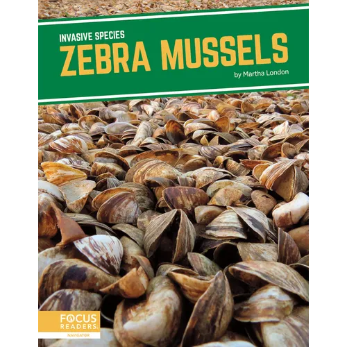 Zebra Mussels