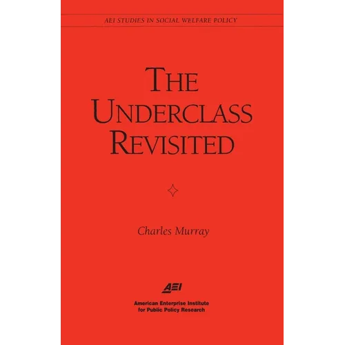 The Underclass Revisited
