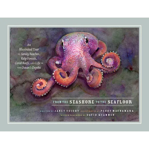 From the Seashore to the Seafloor: An Illustrated Tour of Sandy Beaches, Kelp Forests, Coral Reefs, and Life in the Ocean's Depths