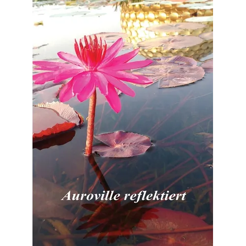 Auroville reflektiert