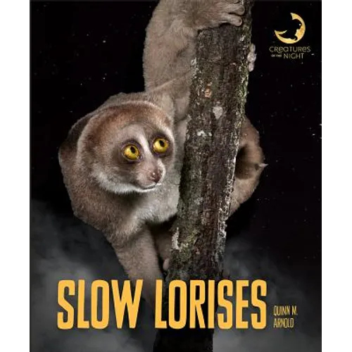 Slow Lorises