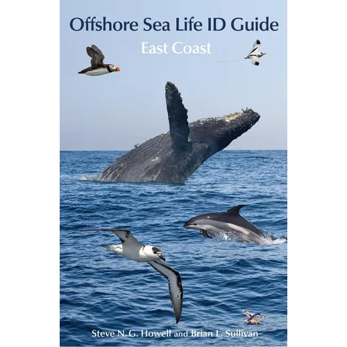 Offshore Sea Life ID Guide: East Coast
