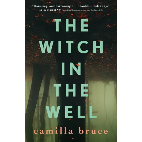 The Witch in the Well