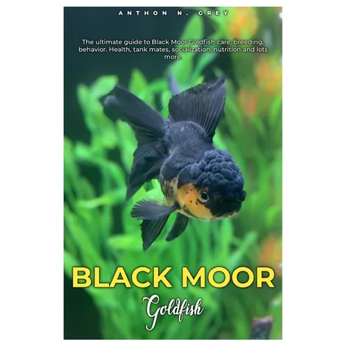 Black Moor Goldfish: The ultimate guide to Black Moor Goldfish care, breeding, behavior, health, tank mates, socialization, nutrition and lots more.