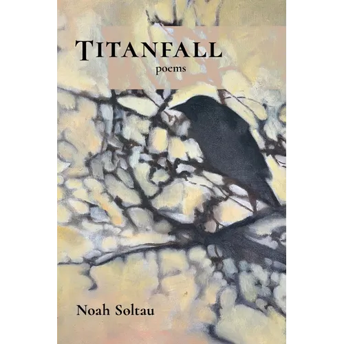 Titanfall