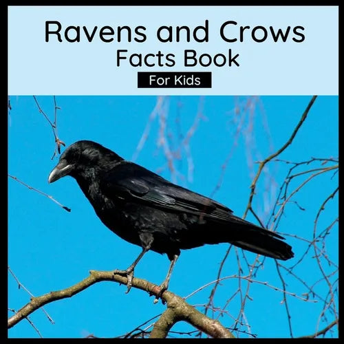 Ravens And Crows Facts Book For Kids: Book About Crows And Ravens - Paperback
