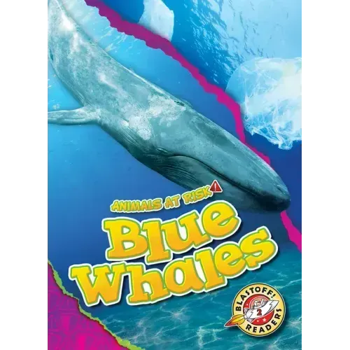 Blue Whales