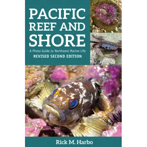 Pacific Reef and Shore