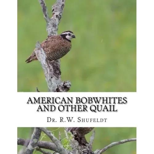 American Bobwhites and Other Quail