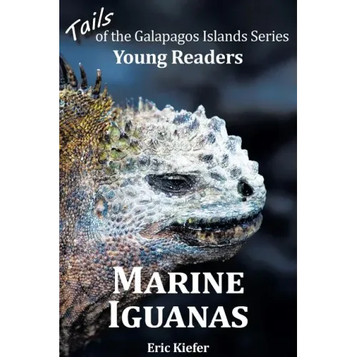 Marine Iguanas - Tails of the Galapagos Islands Series