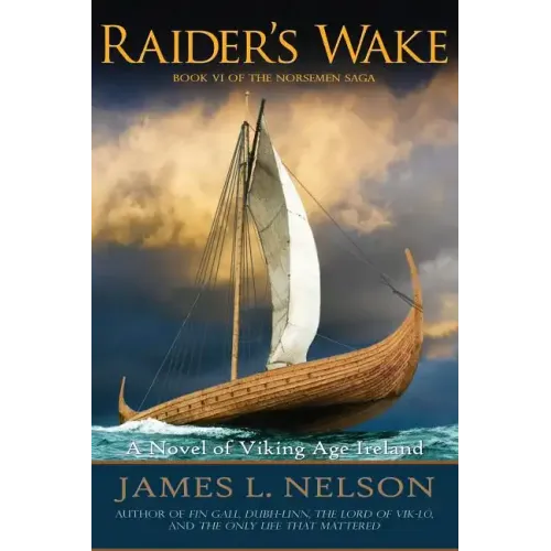 Raider's Wake: A Novel of Viking Age Ireland
