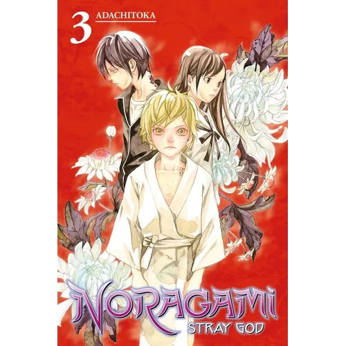 Noragami: Stray God 3