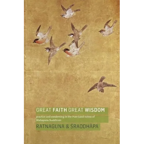 Great Faith, Great Wisdom: Practice and Awakening in the Pure Land Sutras of Mahayana Buddhism