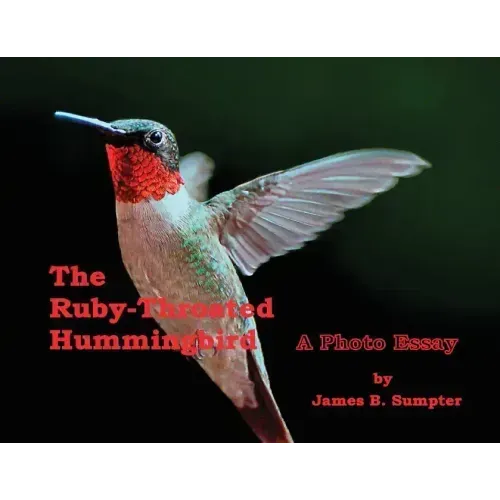 The Ruby-throated Hummingbird: A Photo Essay