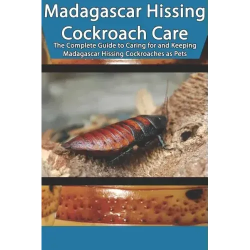 Madagascar Hissing Cockroach Care: The Complete Guide to Caring for and Keeping Madagascar Hissing Cockroaches as Pets
