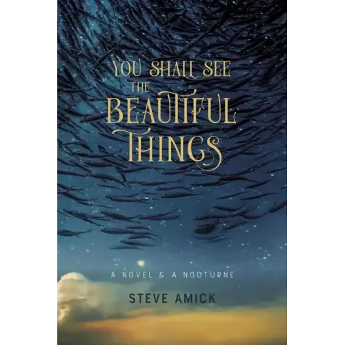 You Shall See the Beautiful Things: A Novel & a Nocturne