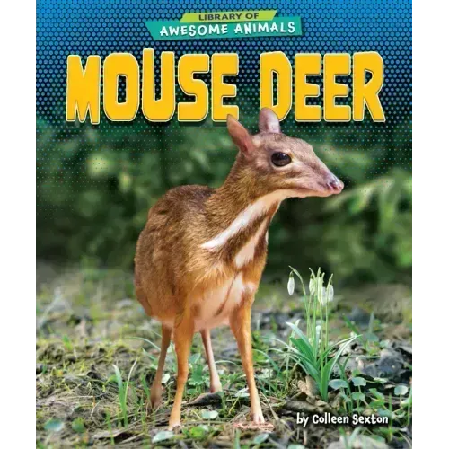 Mouse Deer