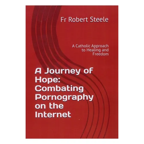 A Journey of Hope: Combating Pornography on the Internet