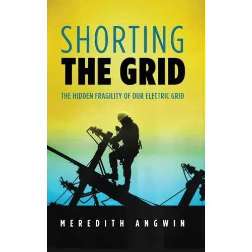 Shorting the Grid: The Hidden Fragility of Our Electric Grid