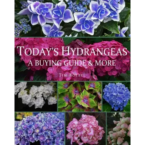 Today's Hydrangeas: A Buying Guide & More